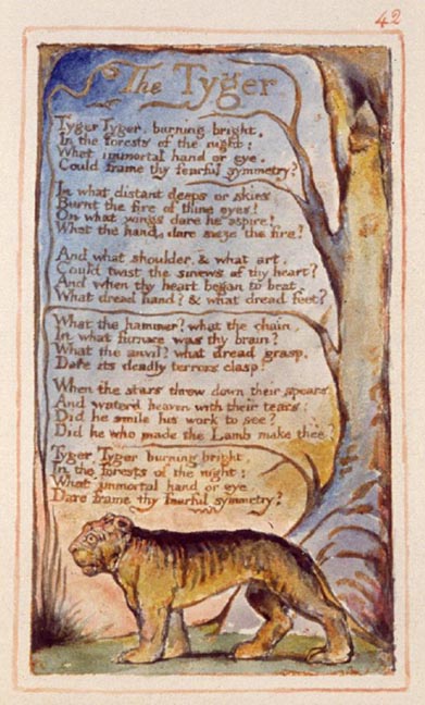 The Tyger By William Blake