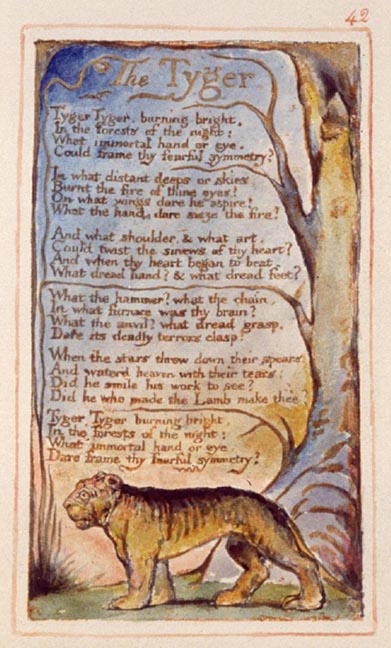 william blake tyger. The Tyger. William Blake