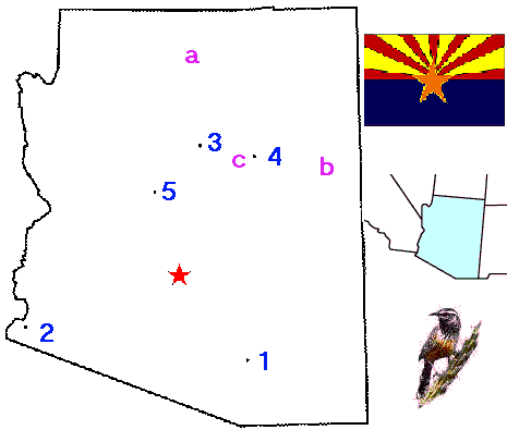 Arizona State Flag Coloring Page