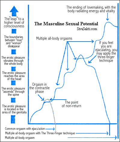 Male Sexual Potential Chart